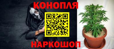 прущие крисы Кулебаки