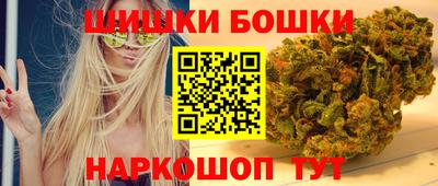 крисы Кунгур